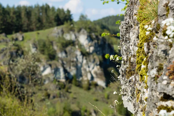 Paisagem Típica Suíça Francónia — Fotografia de Stock