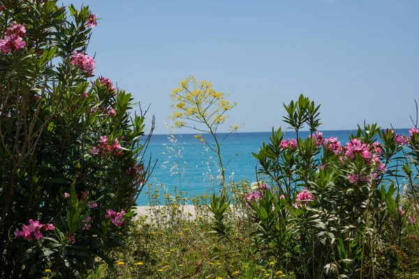 Italiaans Strand Vorsaisin — Stockfoto