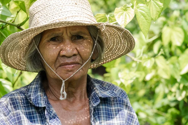 Anciana Asiática Retrato Una Mujer Mayor Tailandesa Años — Foto de Stock