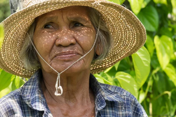 Alte Asiatische Frau Porträt Einer Jährigen Thailändischen Seniorin — Stockfoto