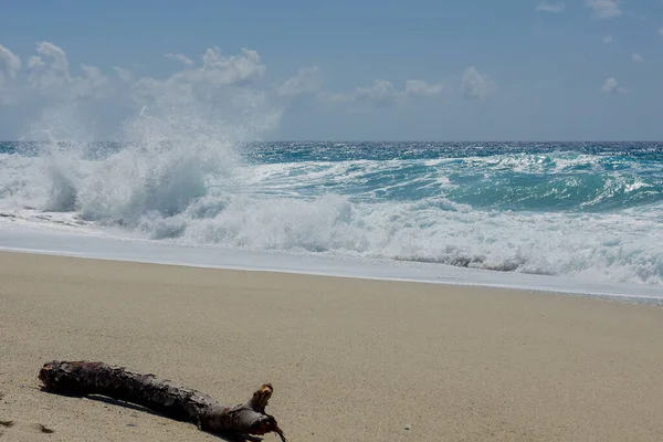 Madera Deriva Playa Con Surf Salvaje Fondo — Foto de Stock