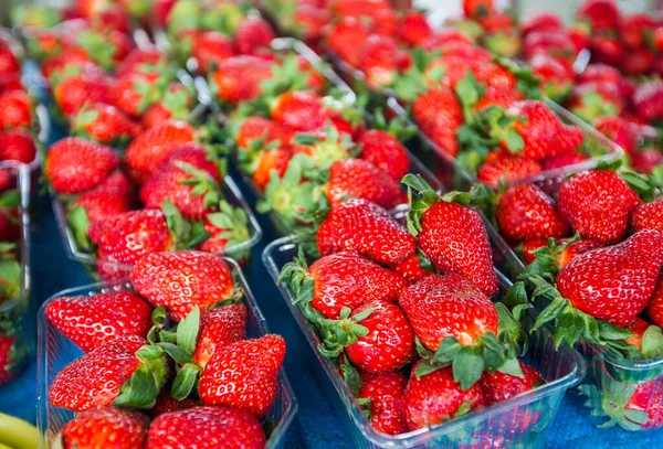 Fruta Madura Vermelha Morango Fresco Pronta Para Venda Stand Mercado — Fotografia de Stock