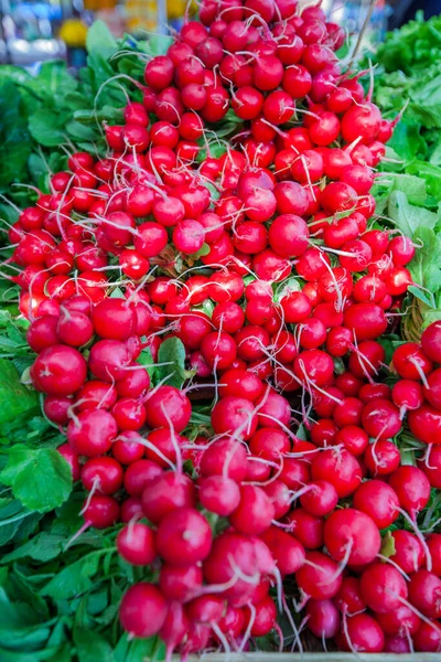 Φρέσκο Κόκκινο Ώριμο Ραπάνι Στην Αγορά Των Γεωργών — Φωτογραφία Αρχείου