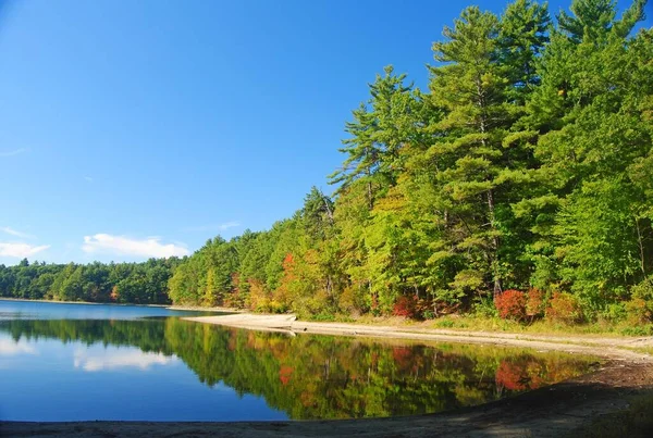 Walden Pond Perto Concord Massachusetts Eua — Fotografia de Stock