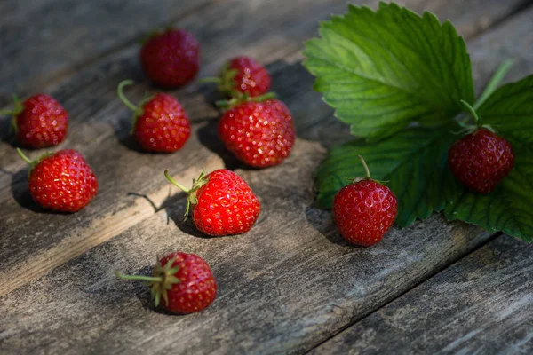 Fritsch Harvested Strawberries Wooden Board — Stock Photo, Image