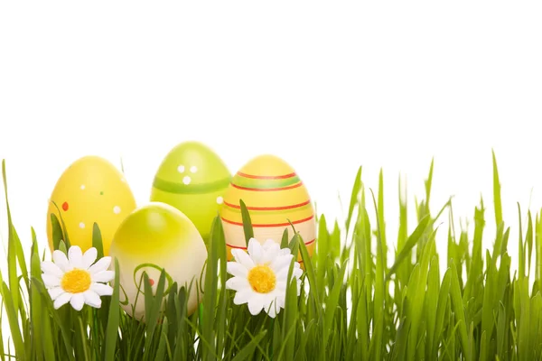 Colored Easter Eggs Spring Green Grass White Background Greeting Card — Stock Photo, Image