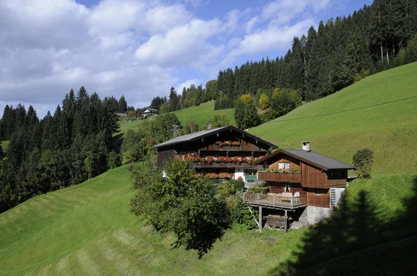 Zillertal Alpler Bina Çiftlik Evi Çiçek Düzenlemeleri Kırsal Sonbahar Vadi — Stok fotoğraf