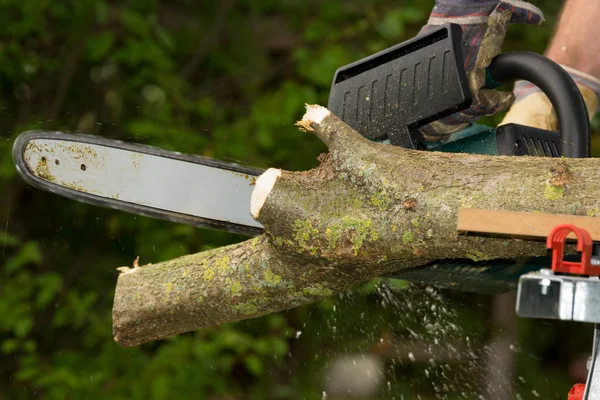 Chainsaw Action — Stock Photo, Image