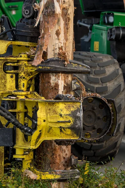 Öreg Rozsdás Traktor Mezőn — Stock Fotó