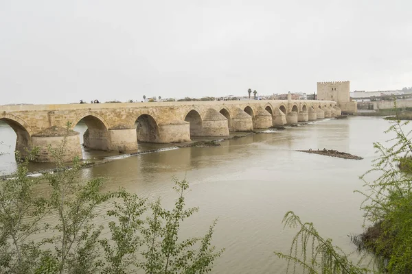 科尔多瓦罗马的桥梁在西班牙瓜达尔基维尔河 — 图库照片