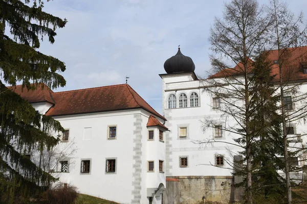 Achleiten Kematen Der Krems Castle Achleiten Castle Castle Ortaçağ Tower — Stok fotoğraf