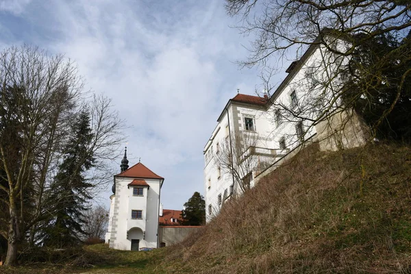 Achleiten Kematen Der Krems Castelo Castelo Achleiten Castelo Medieval Torre — Fotografia de Stock
