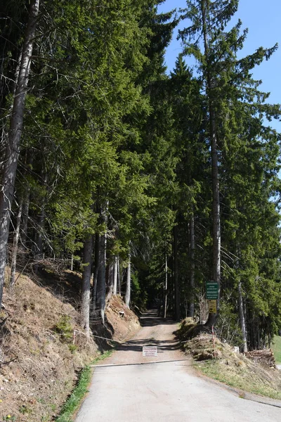 Berg Berg Drautalen Oberberg Väg Stig Vägspärr Alpin Väg Svarta — Stockfoto