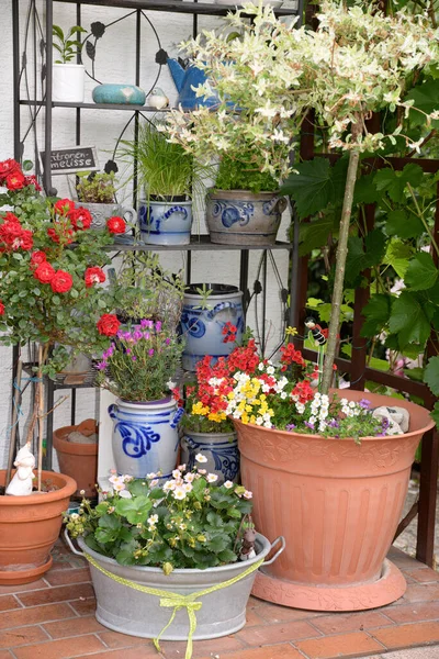 Composizioni Floreali Giardino Piante Ornamentali Terrazza Fiore Fiori Vasca Bagno — Foto Stock