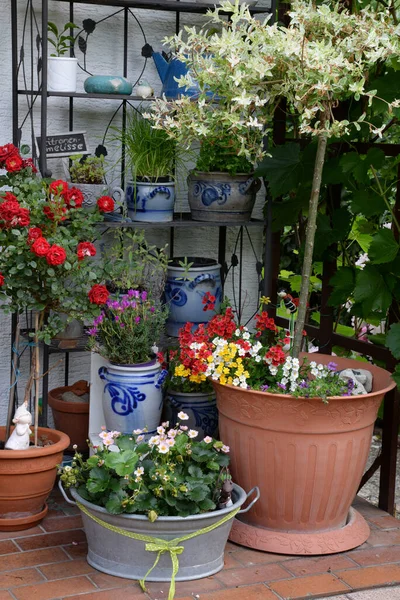 Blumenarrangements Garten Zierpflanzen Terrasse Blume Blumen Blumenkübel Malerisch Malerisch Frühling — Stockfoto