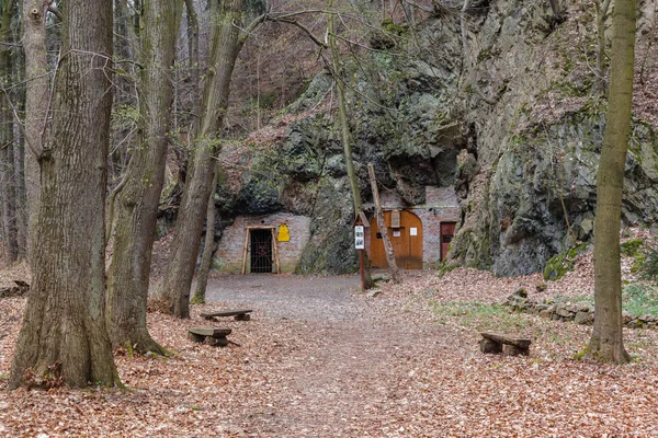 Vecchia Panca Legno Nel Bosco — Foto Stock