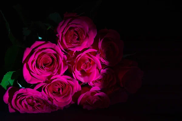 Růže Valentýna Zblízka — Stock fotografie