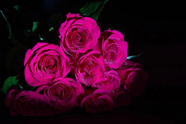 Roses Pour Saint Valentin Vue Rapprochée — Photo