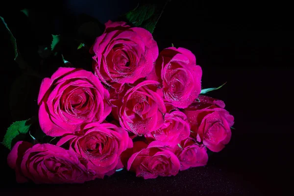 Růže Valentýna Zblízka — Stock fotografie