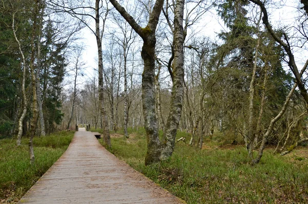 Schöne Aussicht Auf Die Natur — Stockfoto