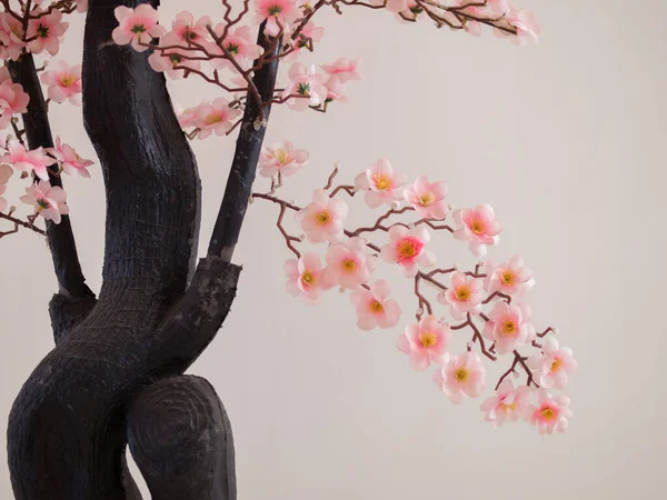 桜の春の花木の上 — ストック写真