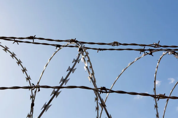 Taggtråd Staket Bakgrunden Blå Himmel — Stockfoto