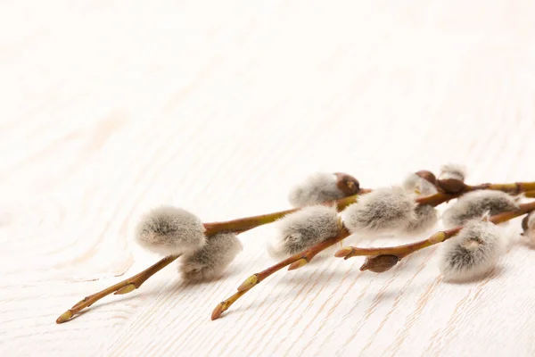 Pussy Willow Branch Catkins Wooden Background — 图库照片