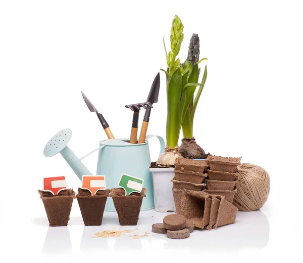 Gardening Tools Watering Can Peat Tablets Pots Seeds Young Seedlings — Stock Photo, Image