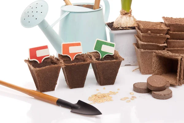 Gardening Tools Watering Can Peat Tablets Pots Seeds Young Seedlings — Stock Photo, Image