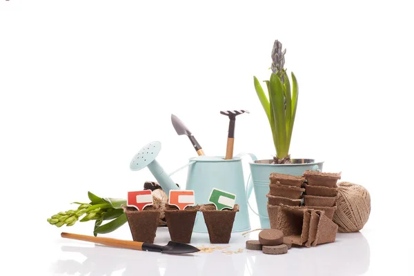 Outils Jardinage Arrosoir Comprimés Pots Tourbe Graines Jeunes Plants Sur — Photo