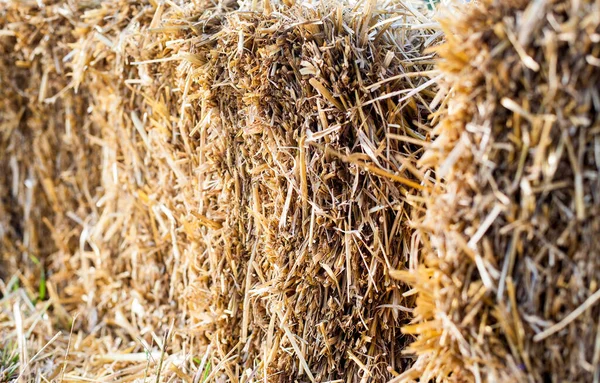 Öko Heuballen Landwirtschaft Weizen Gelb Goldene Ernte Sommer — Stockfoto
