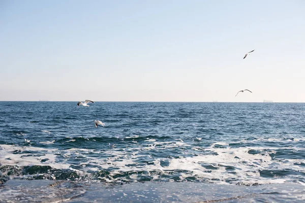 Pittoresk Panoramautsikt Över Svarta Havet Staden Odessa — Stockfoto