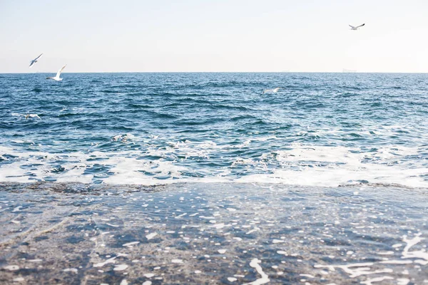 Pittoresk Panoramautsikt Över Svarta Havet Staden Odessa — Stockfoto