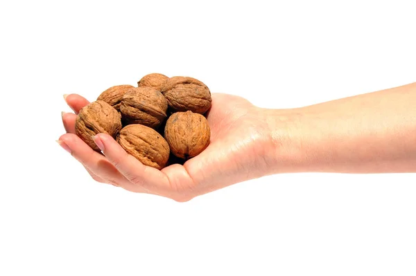 Nüsse Der Schale Sind Der Hand Auf Weißem Hintergrund — Stockfoto