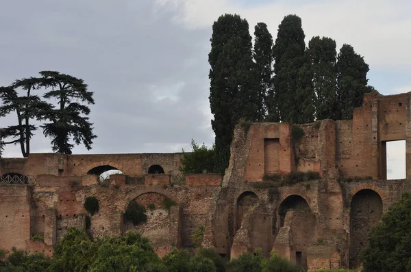 Rester Ruiner Med Cypresser Det Romerska Forumet Italy — Stockfoto