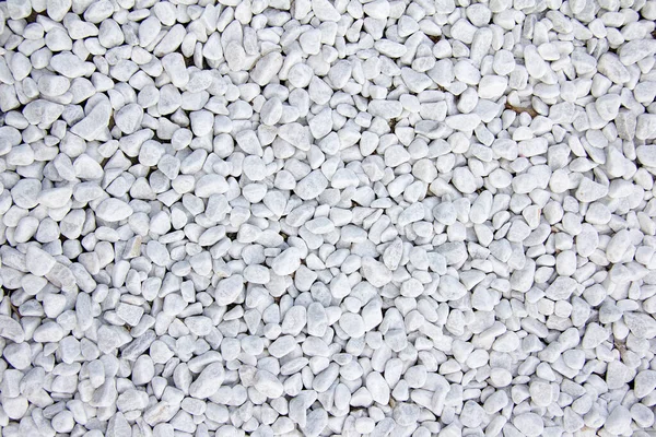 Pedras Seixo Branco Como Fundo — Fotografia de Stock