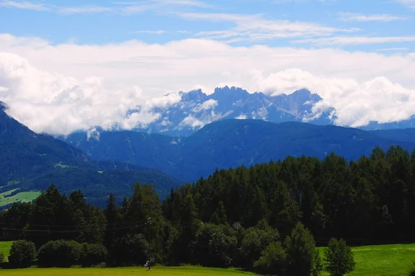 Rosenträdgård Dolomiterna Sett Utifrån Ridning Det Lokala Berget Bolzano — Stockfoto