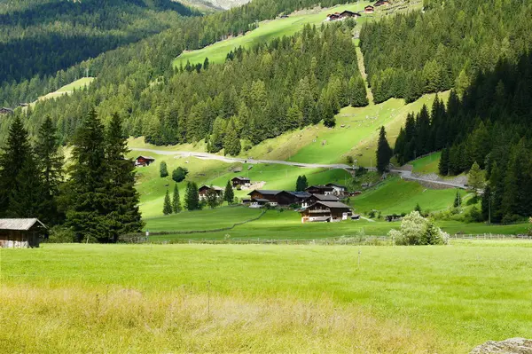 Ultental Pobliżu Merano Południowym Tyrolu Lecie — Zdjęcie stockowe