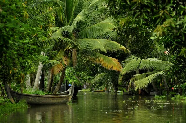 Boot Und Palmen Den Backwaters Südindischen Kerala — Stockfoto