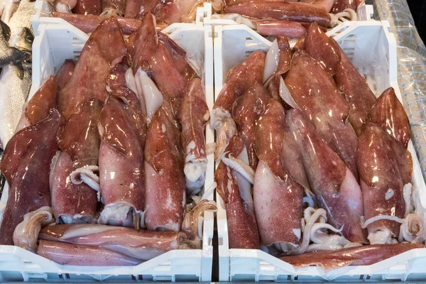 パレルモの市場では新鮮なイカは — ストック写真