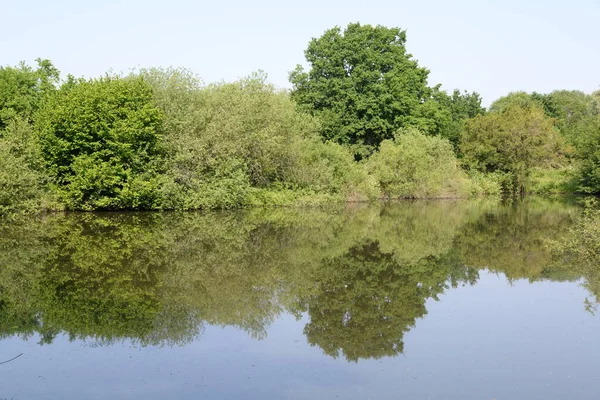 See Klein Welzheim Gesegnete Stadt See Teich Waldsee Wasser Gewässer — Stockfoto