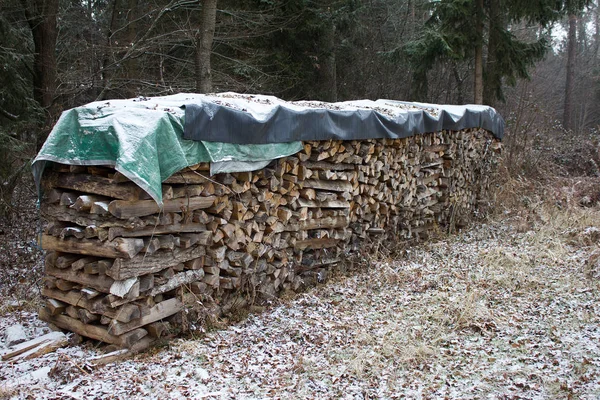 スタイリアの冬の森の中に雪が積もり — ストック写真