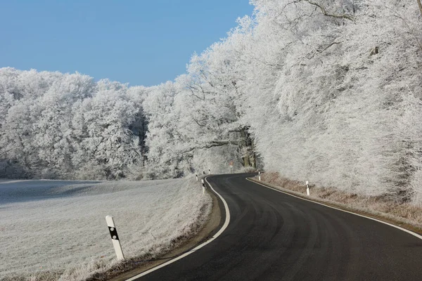 Paisagem Roughage Grosso — Fotografia de Stock