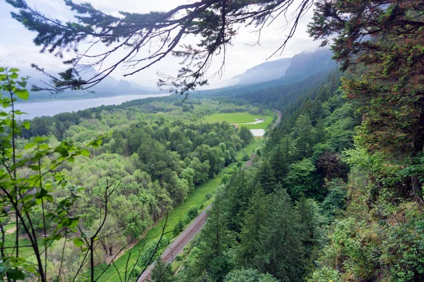 Vue Sur Paysage Des Gorges Fleuve Columbia Près Portland Oregon — Photo