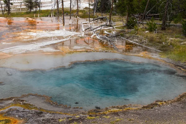 Firehole Spring Yellowstone National Park Wyoming États Unis — Photo