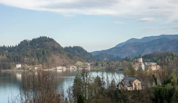 Vista Sobre Bled Lago Primavera Verde Floresta Montanhas — Fotografia de Stock