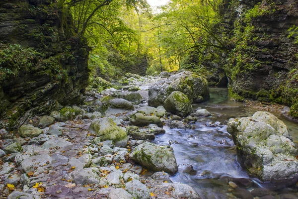 Речной Поток Красочном Осеннем Лесу Ручей Козяк Долина Соца Словения — стоковое фото