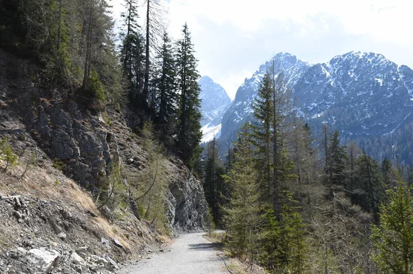 Lienz Tyrol Est Dolomites Lienz Hutte Dolomite Hutte Carlsbad Sentier — Photo