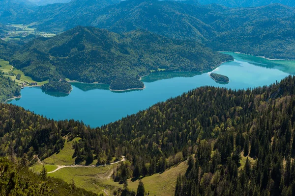 Lake Walchen — Stock Photo, Image