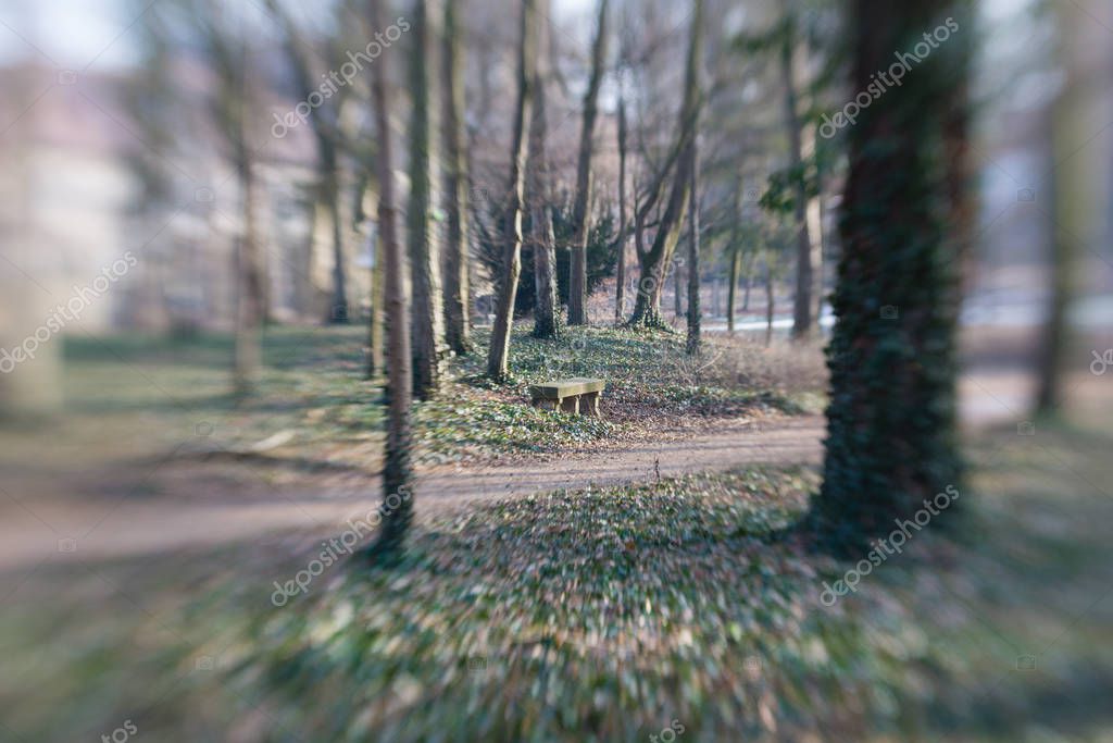 Фотообои away in a park in winter